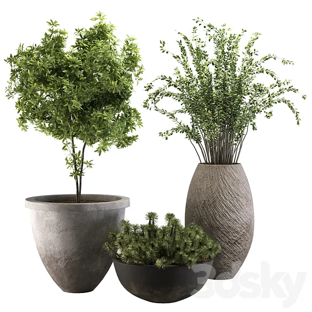 out door plant 13 Free Download