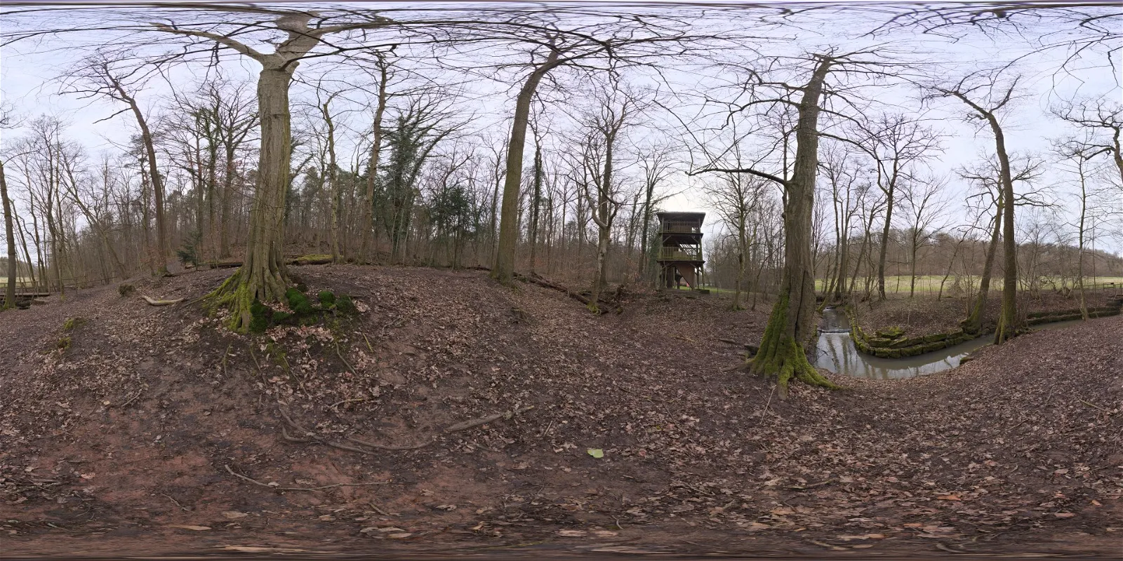 outdoor - Autumn Forest 03