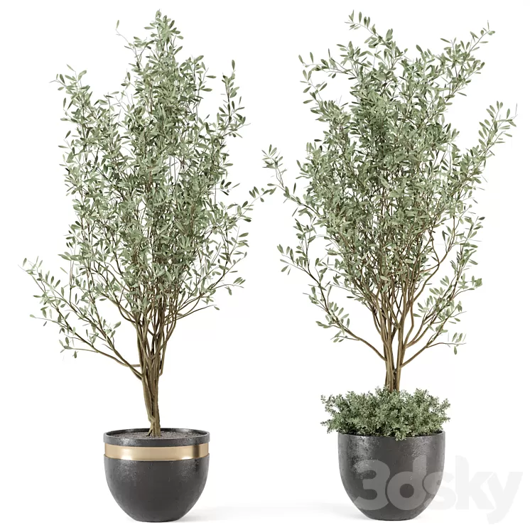 Outdoor bush and Tree in rusty Concrete Pot - Set 204 3D Model