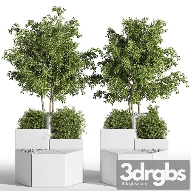 Outdoor Chair of The Shrub 3D Model Download