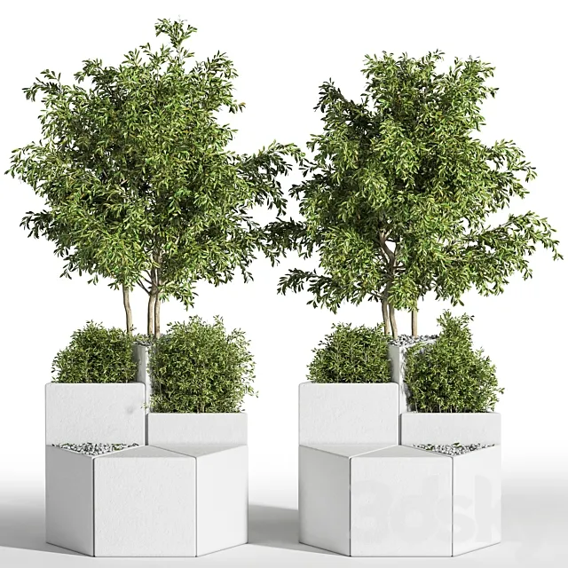 Outdoor Chair of The Shrub 3D Model