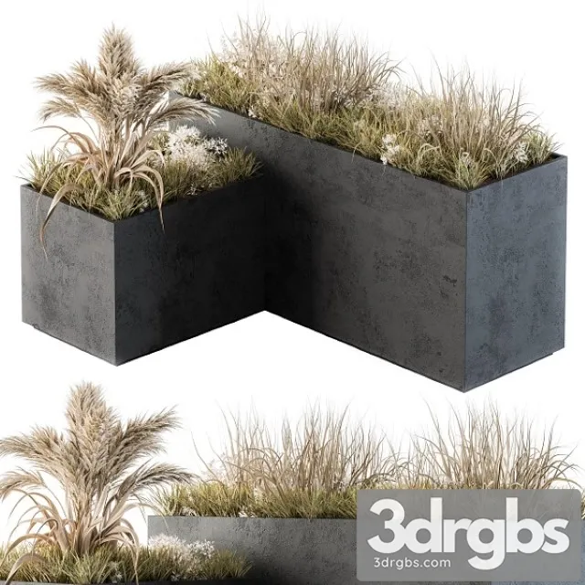 Outdoor Concrete Plant Box With Cereals and Dried Plants 3D Model Free