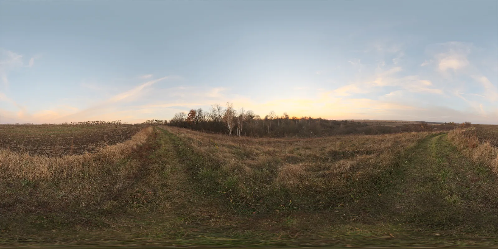 outdoor - Evening Field