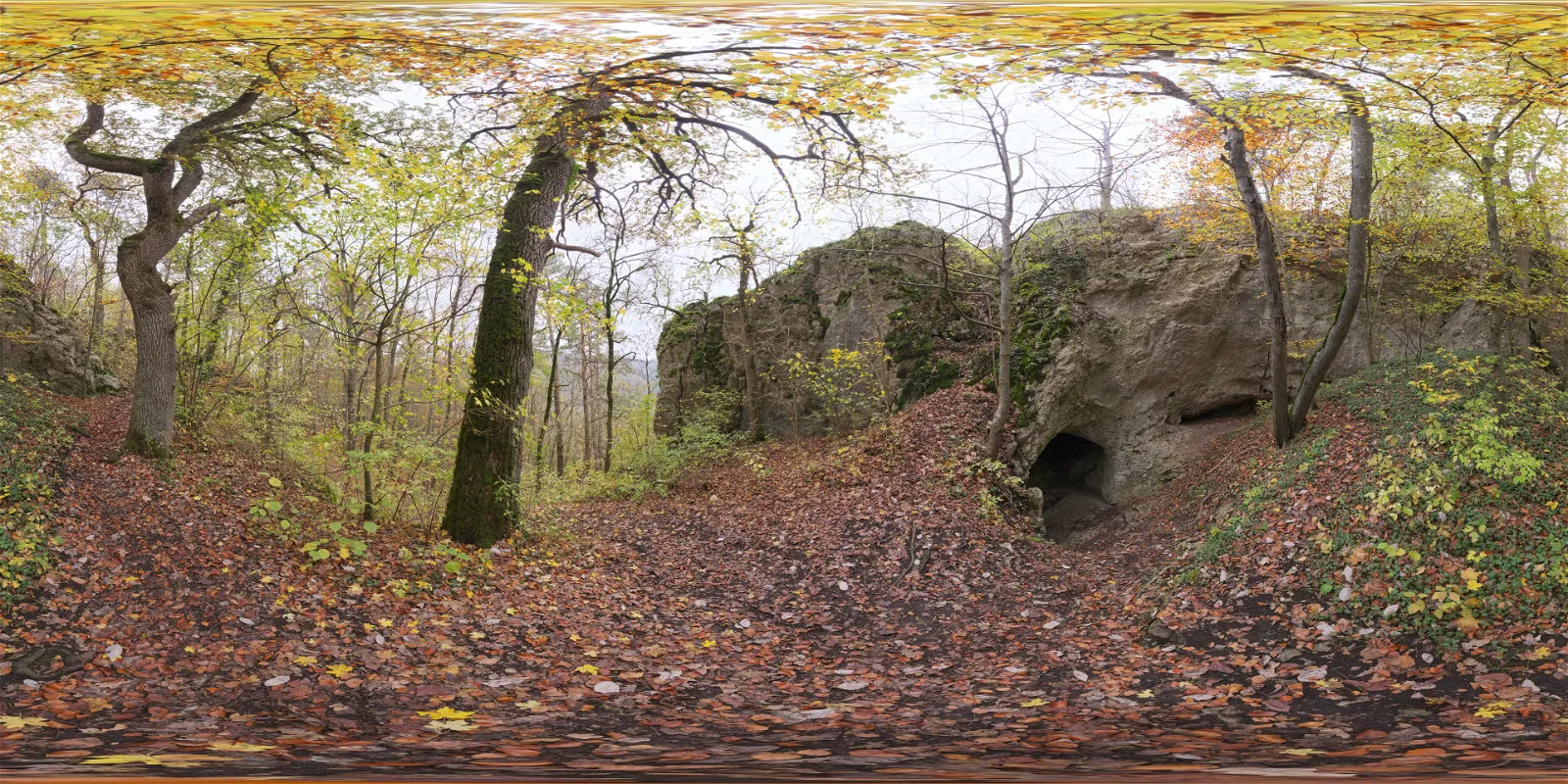 outdoor - Forest Cave