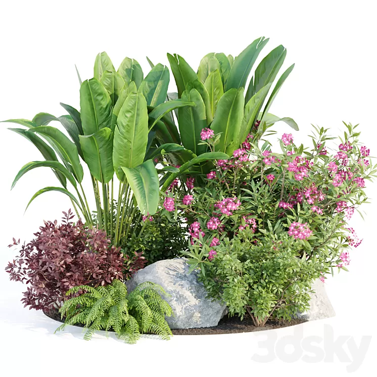Outdoor Garden Plants Collection vol 136 3D Model Free