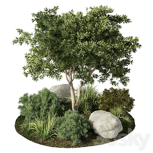 Outdoor Garden Plants Set.41 3D Model