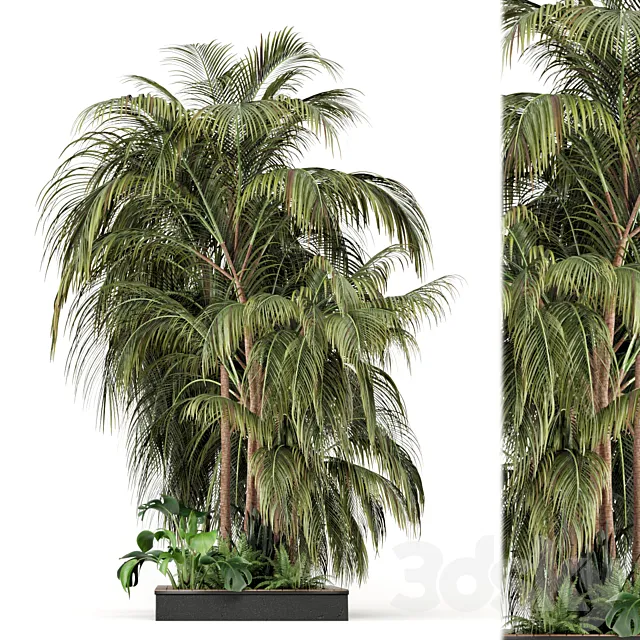 Outdoor Garden set bush and Tree - Garden Set 126 3D Model