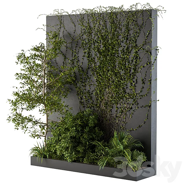 Outdoor Green Wall with Garden ivy 3D Model