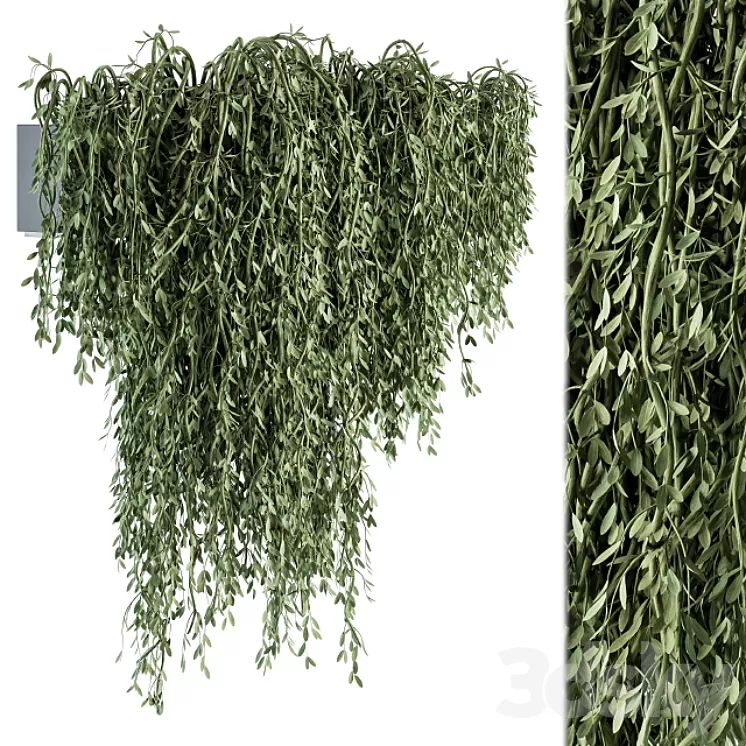 Outdoor Hanging Plants - Set 294 3D Model Free