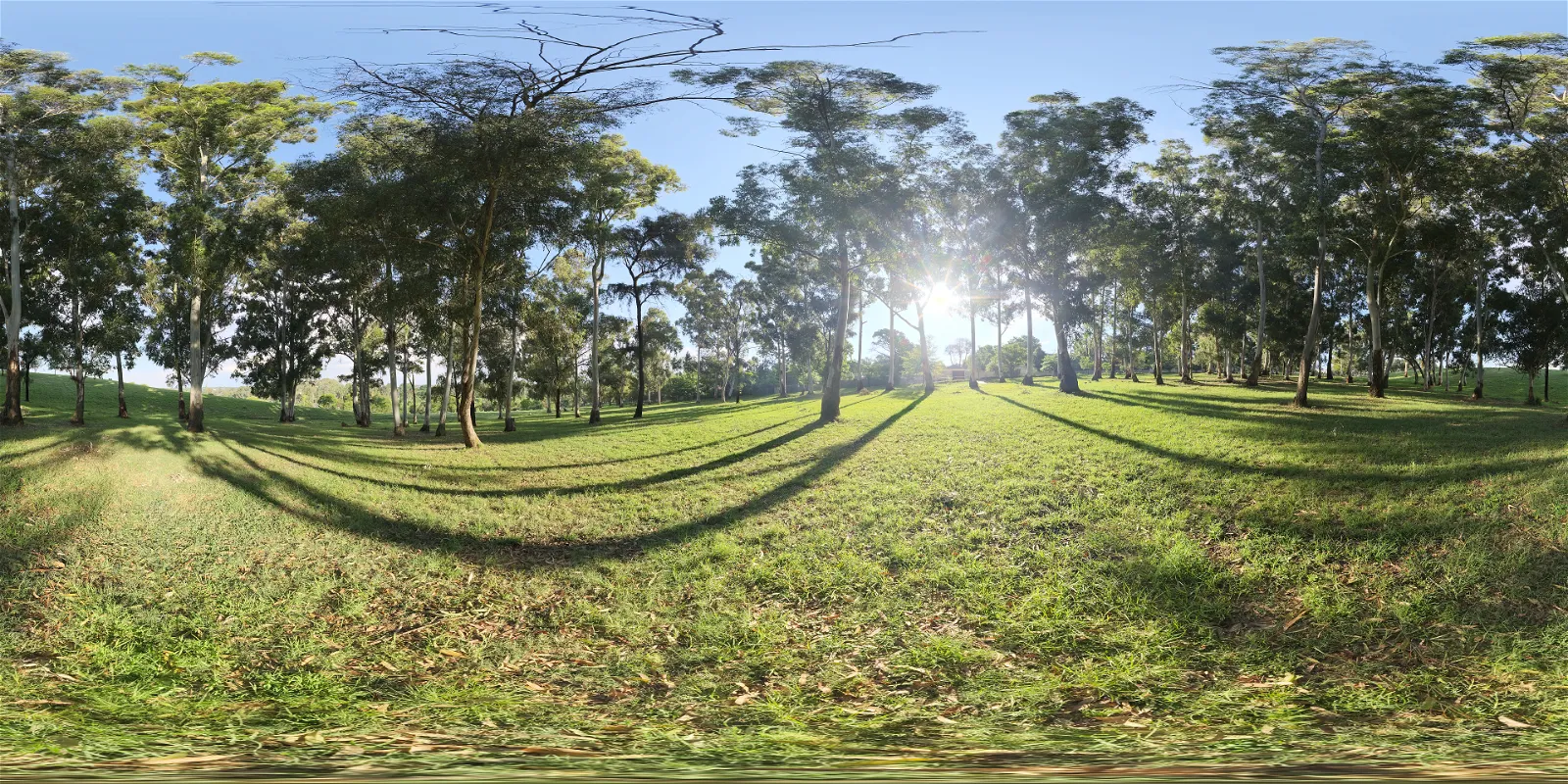 outdoor - J&E Gray 02