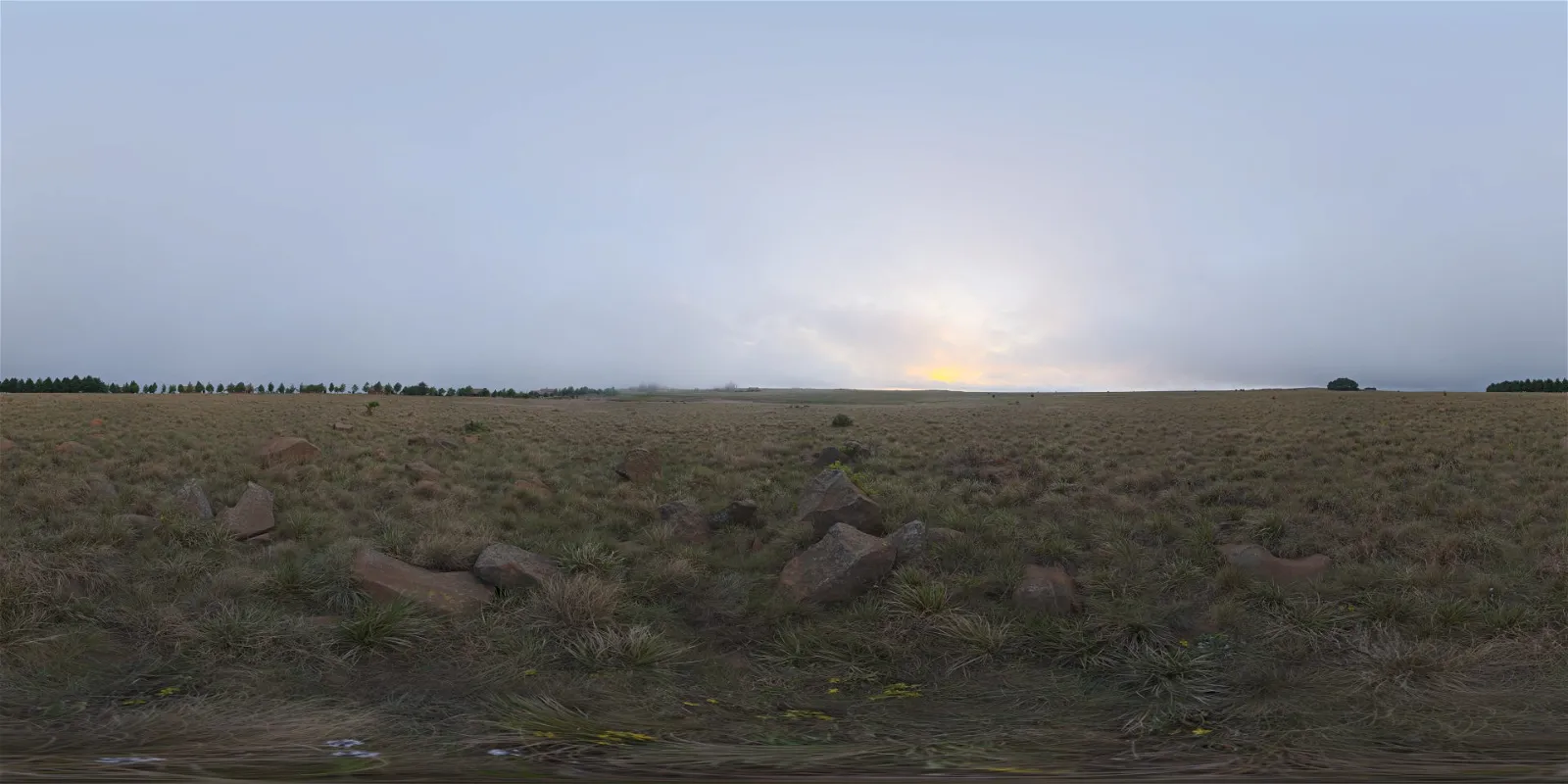 outdoor - Kloppenheim 01