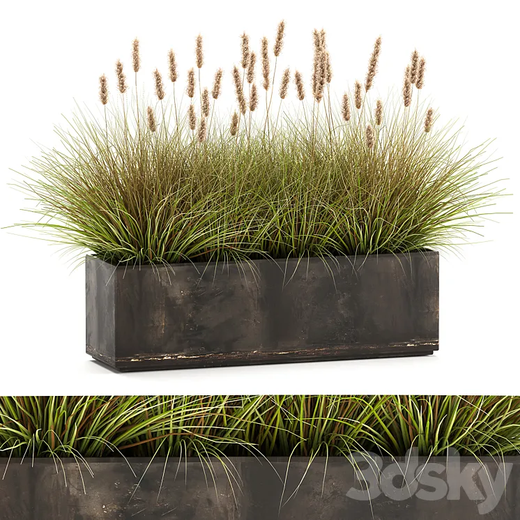 Outdoor metal pot in the bushes Pampas grass flowerpot flowerbed reed. 905. 3D Model Free