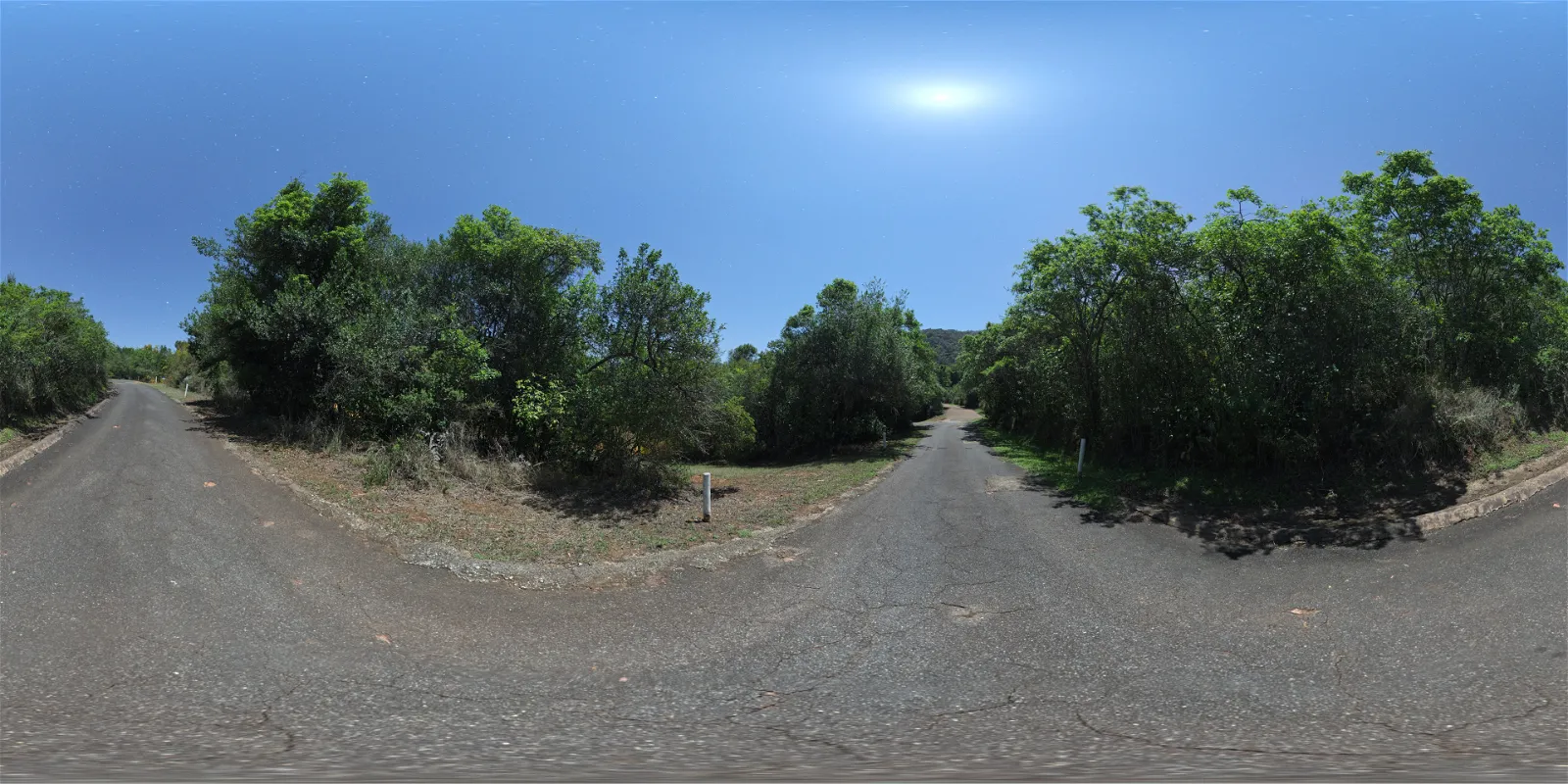 outdoor - Narrow Moonlit Road