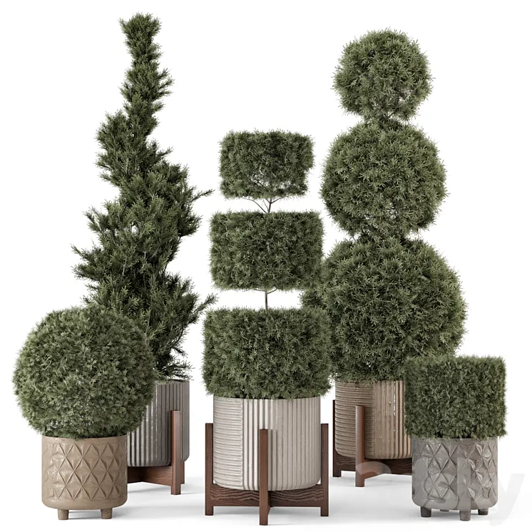Outdoor Pine Plants in Concrete Pot - Set 522 3D Model Free
