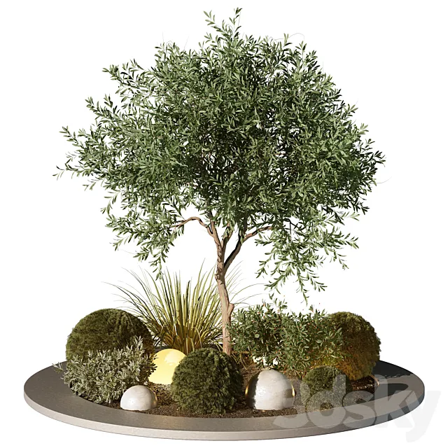 Outdoor Plant 196 3D Model