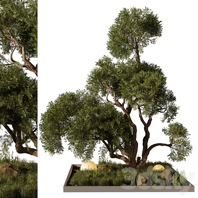 Outdoor Plant 250 3D Model