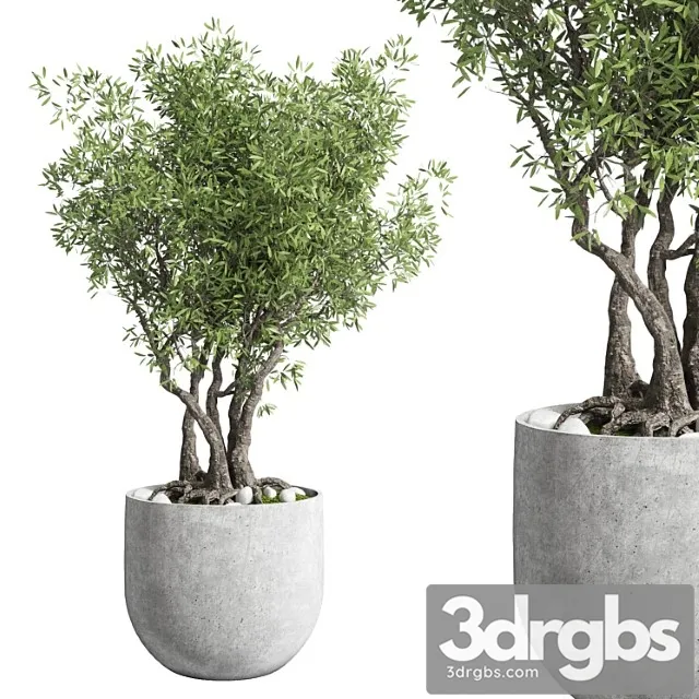 Outdoor Plant 28 Concrete Vase 3D Model Free