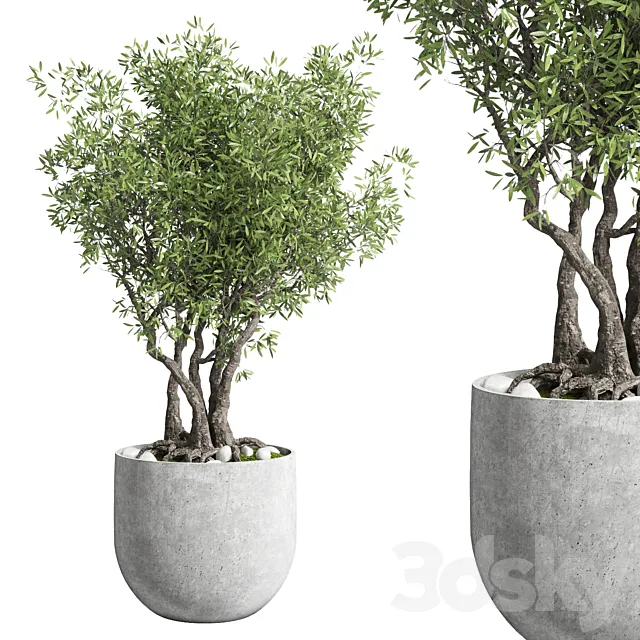 Outdoor plant 28 concrete vase 3D Model