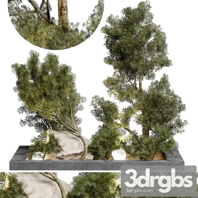Outdoor Plant 65 3D Model Free