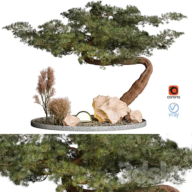 Outdoor Plant 69 3DModel