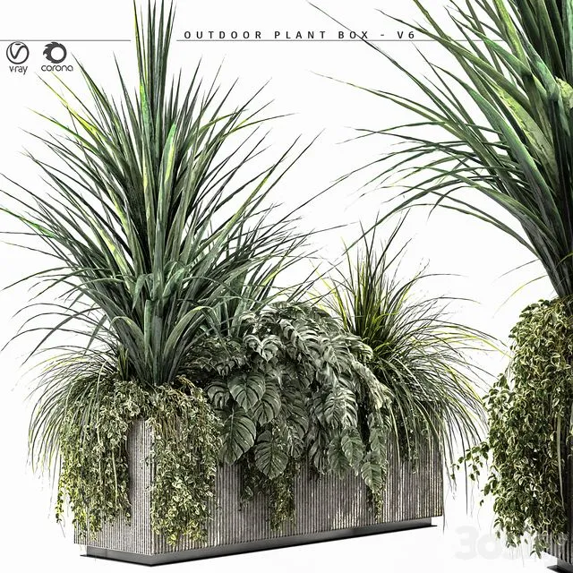 Outdoor Plant BOX-V6 3D Model