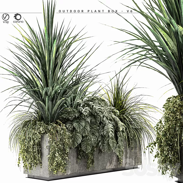 Outdoor Plant BOX-V6 3D Model Free