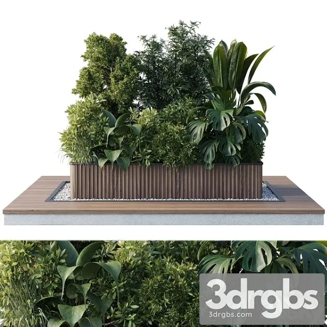 Outdoor Plant Collection 114 3D Model Free