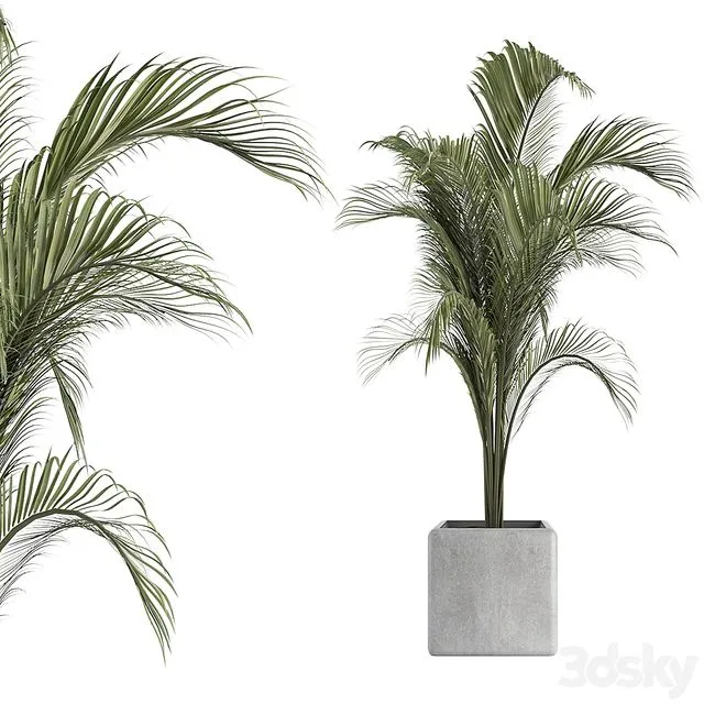 OutDoor Plant No 2 3D Model