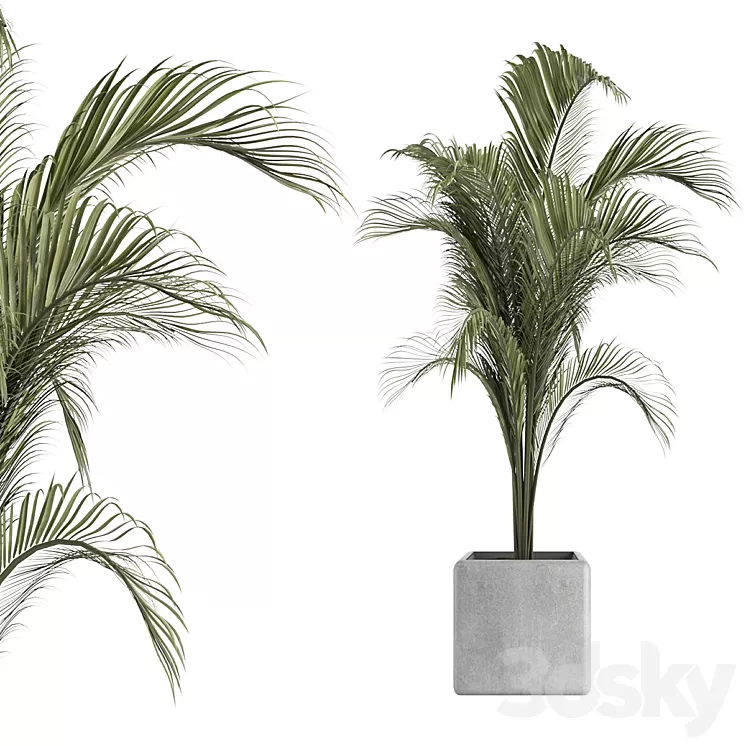 OutDoor Plant No 2 3D Model Free