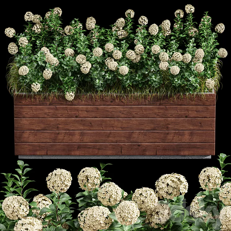 Outdoor Plant Set 001 - Plant Box 3D Model