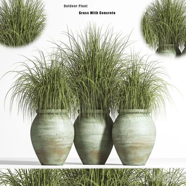 Outdoor Plant set 01 3D Model