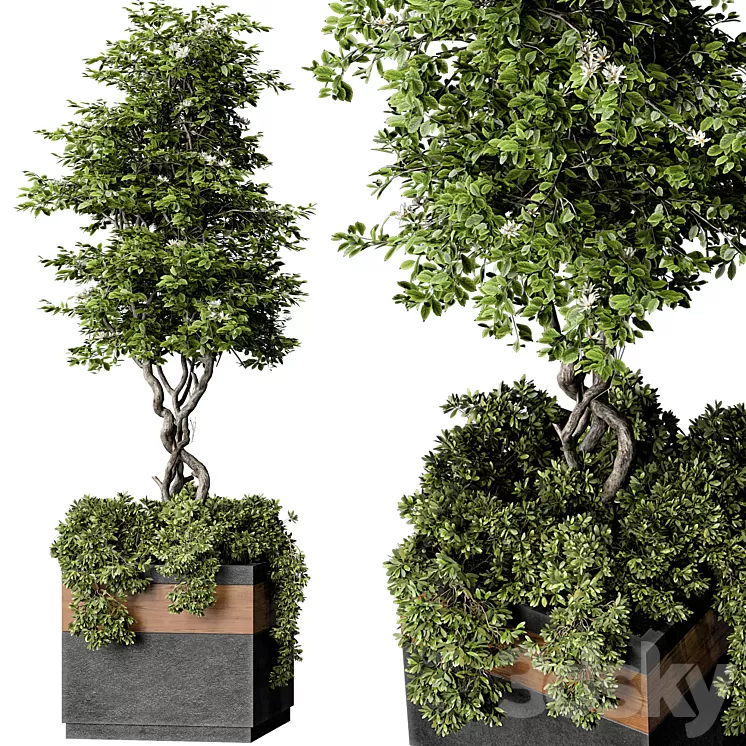 Outdoor Plant Set 01 3D Model