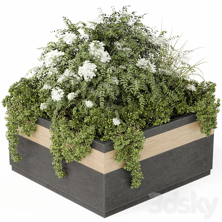 Outdoor Plant Set 02 3D Model