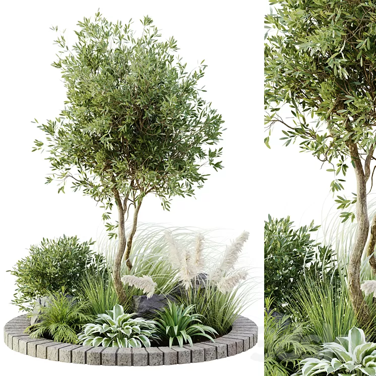 outdoor plant set 05 3D Model Free