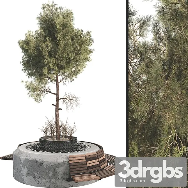 Outdoor plant set 06 3D Model Free