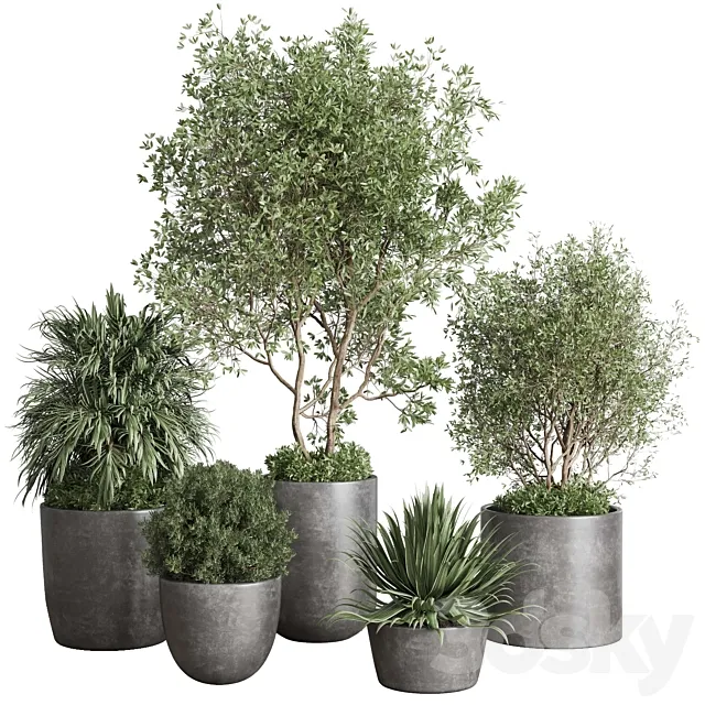 outdoor plant set 160 pot old tree bush palm in a concrete dirty vase 3D Model