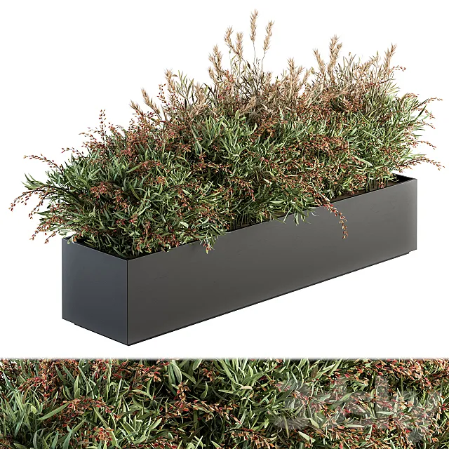 Outdoor Plant Set 166 - Plant Box Bush 3DModel