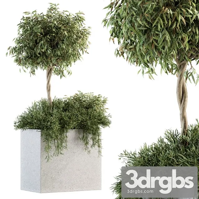 Outdoor Plant Set 172 Plant Box Tree 3D Model Free