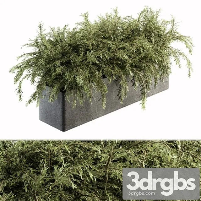Outdoor Plant Set 180 Plant in Pot 3D Model Free