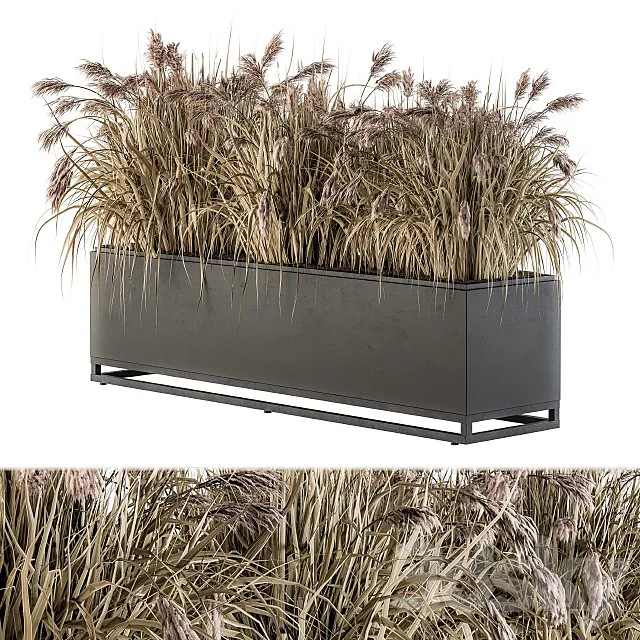 Outdoor Plant Set 184 - Plant Box Dried 3D Model
