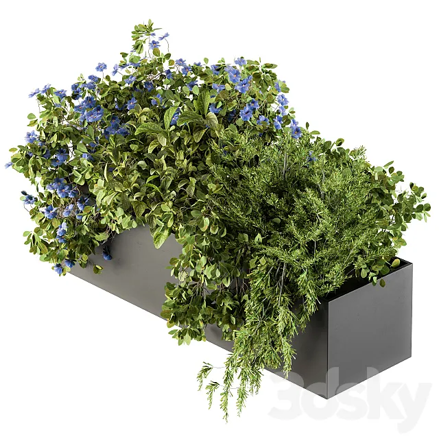 Outdoor Plant Set 208 - Plant Box Blue Flower 3DModel