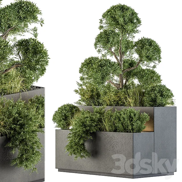 Outdoor Plant Set 214 - Plant Box 3D Model