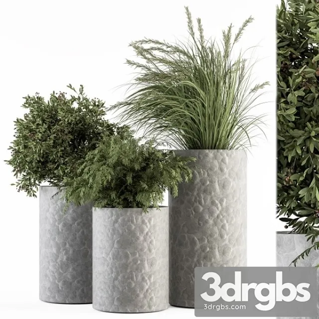 Outdoor Plant Set 22 3D Model Free