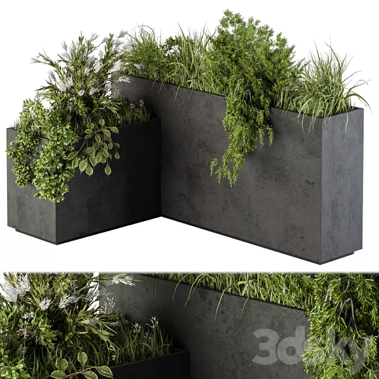 Outdoor Plant Set 248 - Plant L Type Box 3D Model