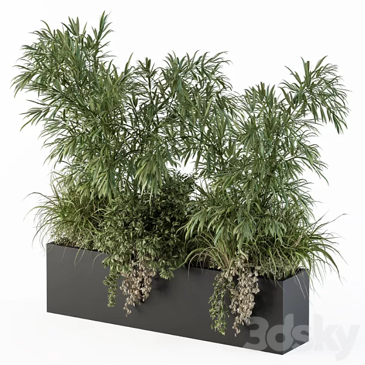 Outdoor Plant Set 252 - Plant Box with Bamboo Tree 3D Model