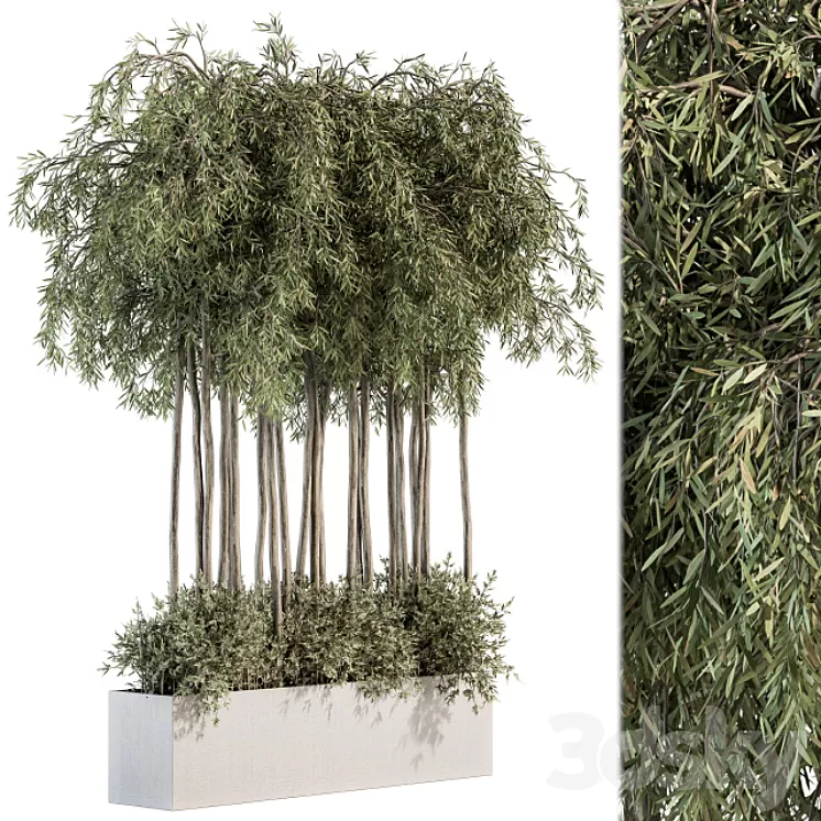 Outdoor Plant Set 264 - Plant Box 3D Model