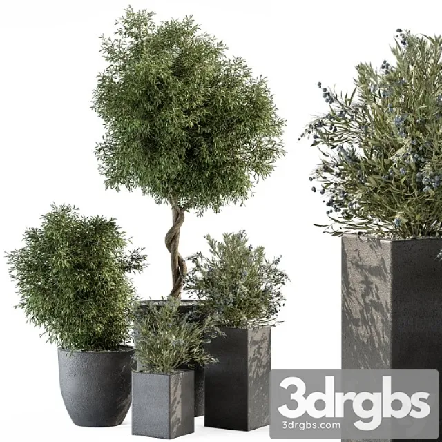 Outdoor Plant Set 273 Plant Set in Concrete Pot 3D Model Free