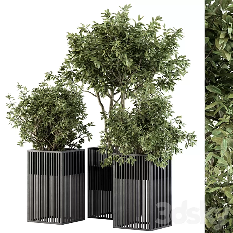 Outdoor Plant Set 276 - Plant Set in Metal Pot 3D Model Free