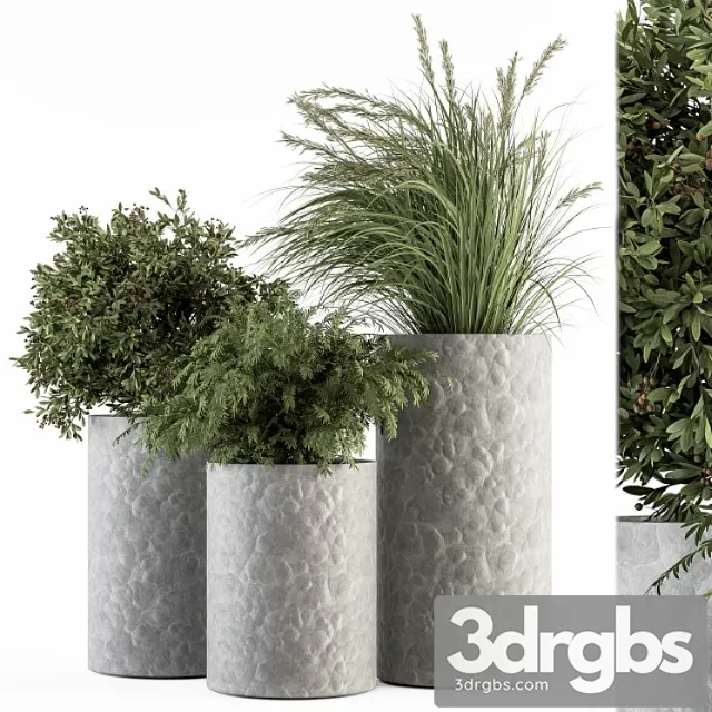 Outdoor Plant Set 287 Plant Set In Concrete Pot 3D Model Free