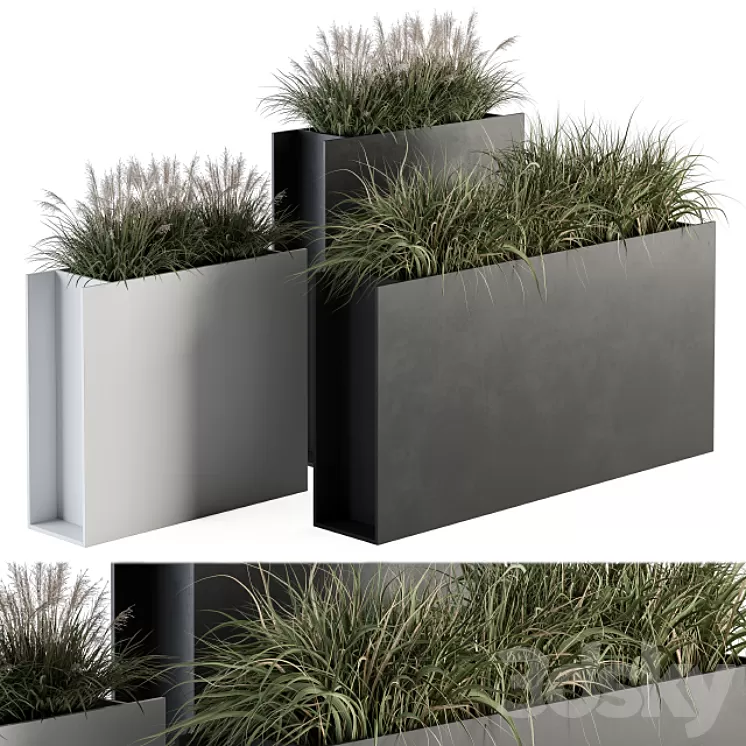 Outdoor Plant Set 288 - Grass in Plant Box 3D Model Free